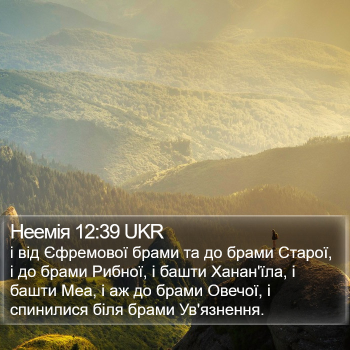 Неемія 12:39 UKR Bible Study