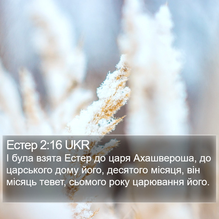 Естер 2:16 UKR Bible Study