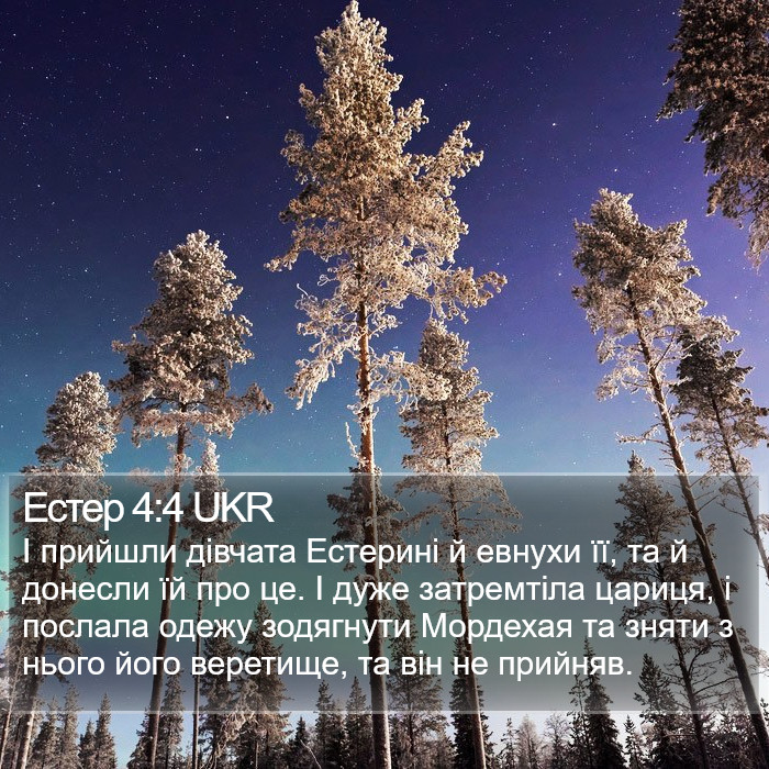 Естер 4:4 UKR Bible Study