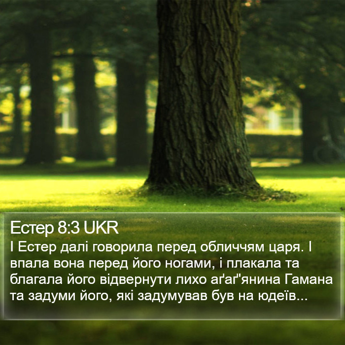 Естер 8:3 UKR Bible Study