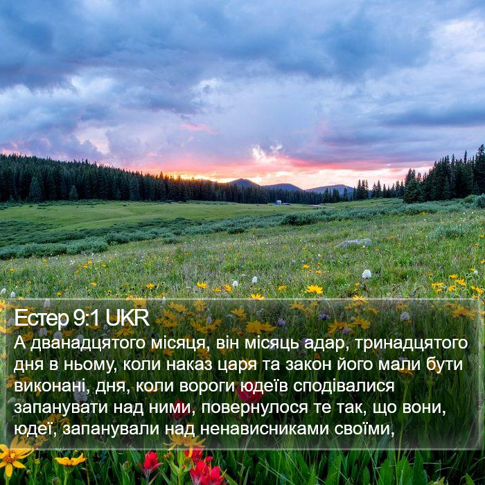 Естер 9:1 UKR Bible Study