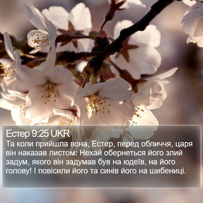 Естер 9:25 UKR Bible Study