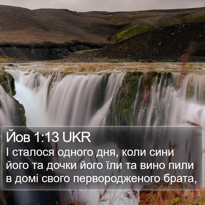 Йов 1:13 UKR Bible Study