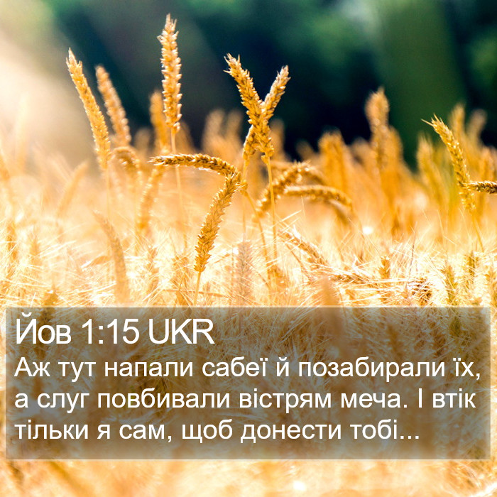 Йов 1:15 UKR Bible Study