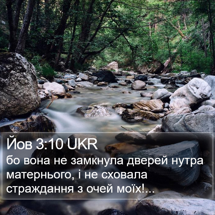 Йов 3:10 UKR Bible Study