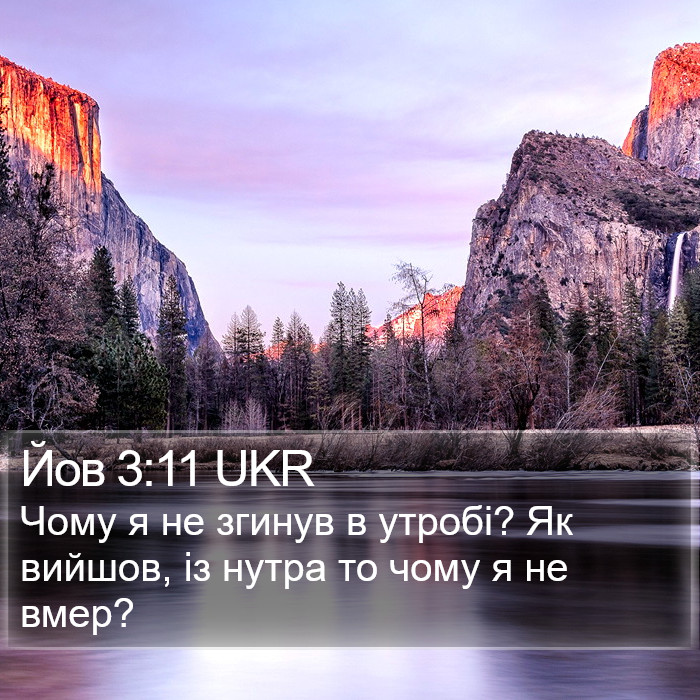 Йов 3:11 UKR Bible Study