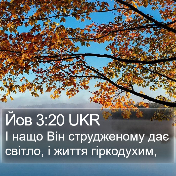 Йов 3:20 UKR Bible Study