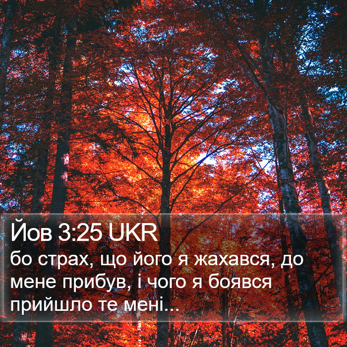 Йов 3:25 UKR Bible Study