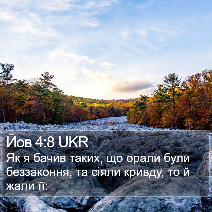 Йов 4:8 UKR Bible Study