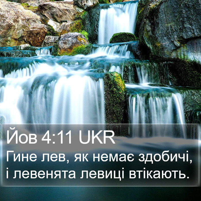 Йов 4:11 UKR Bible Study