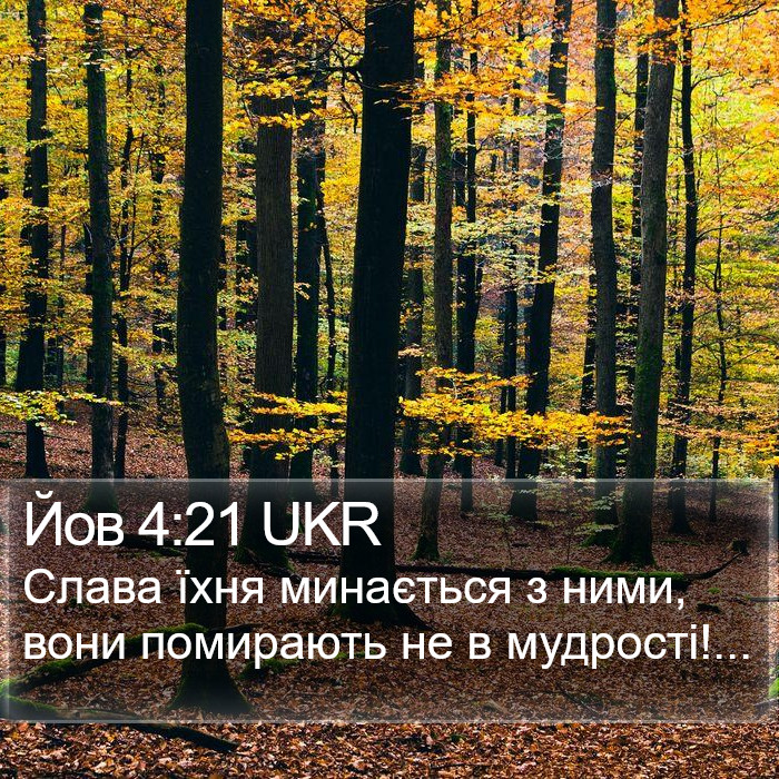 Йов 4:21 UKR Bible Study