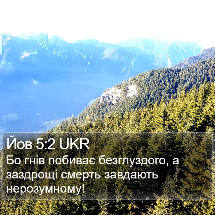 Йов 5:2 UKR Bible Study