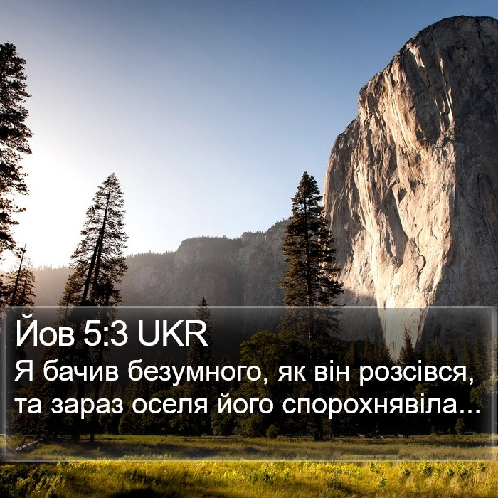 Йов 5:3 UKR Bible Study