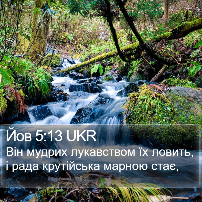 Йов 5:13 UKR Bible Study