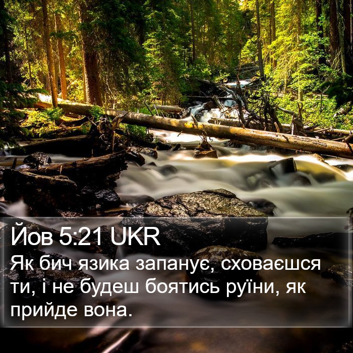 Йов 5:21 UKR Bible Study