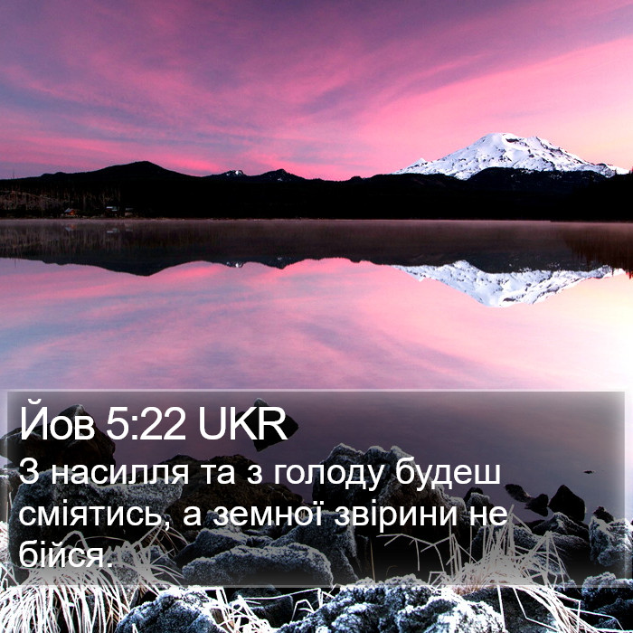 Йов 5:22 UKR Bible Study