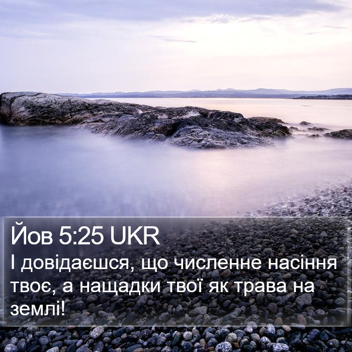 Йов 5:25 UKR Bible Study