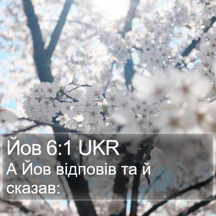 Йов 6:1 UKR Bible Study