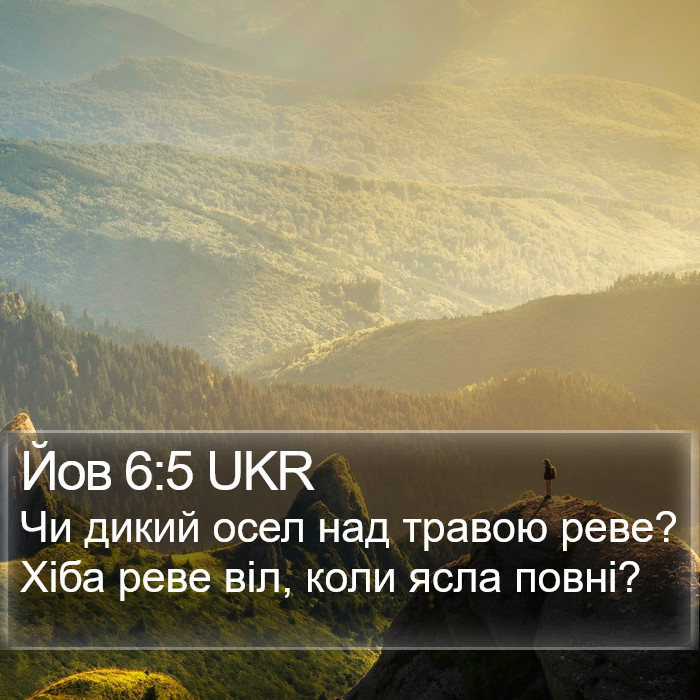 Йов 6:5 UKR Bible Study