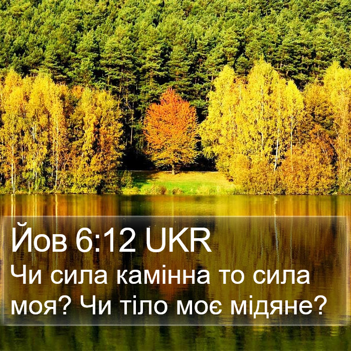 Йов 6:12 UKR Bible Study