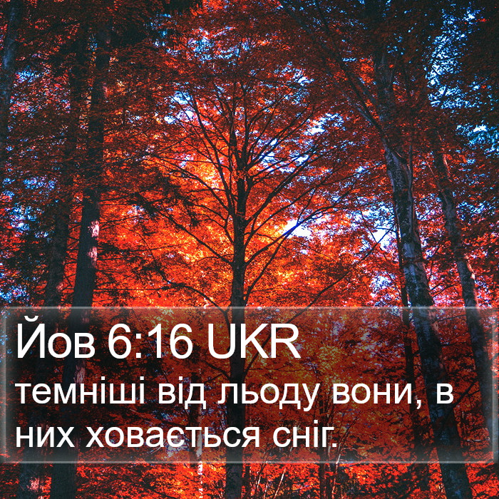 Йов 6:16 UKR Bible Study