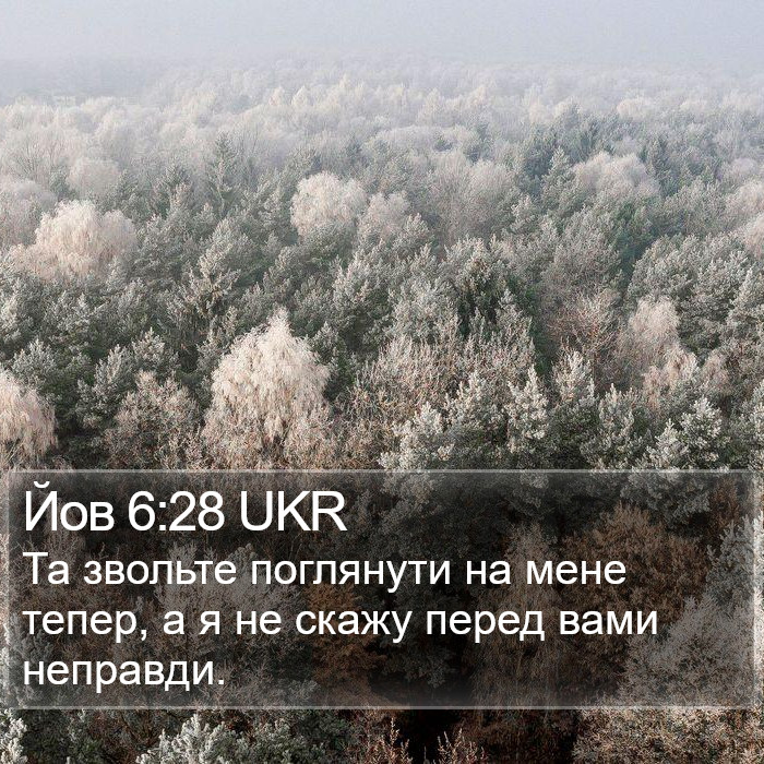 Йов 6:28 UKR Bible Study