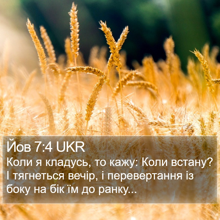 Йов 7:4 UKR Bible Study