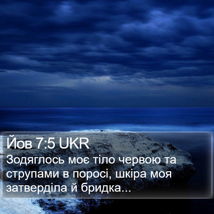 Йов 7:5 UKR Bible Study