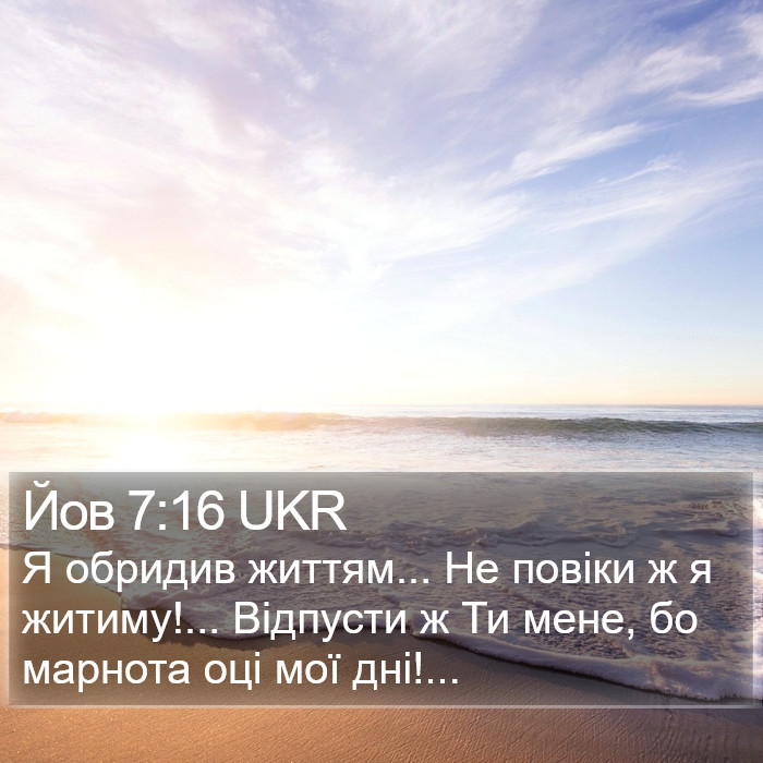 Йов 7:16 UKR Bible Study