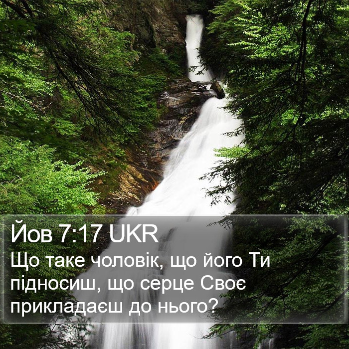 Йов 7:17 UKR Bible Study