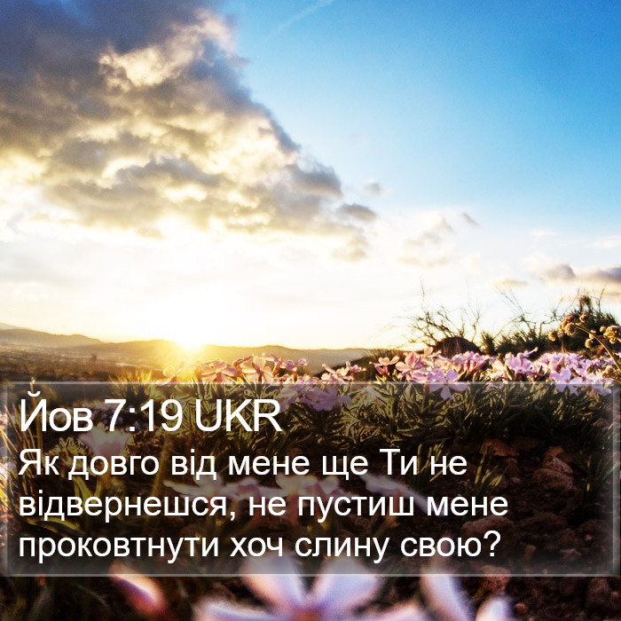 Йов 7:19 UKR Bible Study