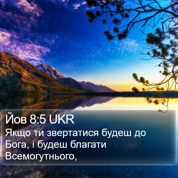 Йов 8:5 UKR Bible Study