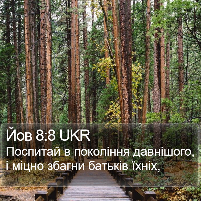 Йов 8:8 UKR Bible Study