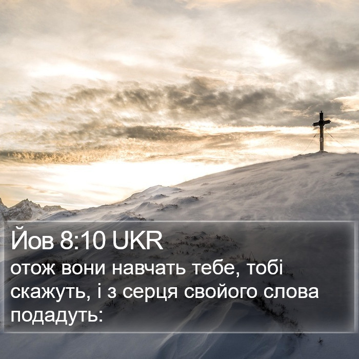 Йов 8:10 UKR Bible Study