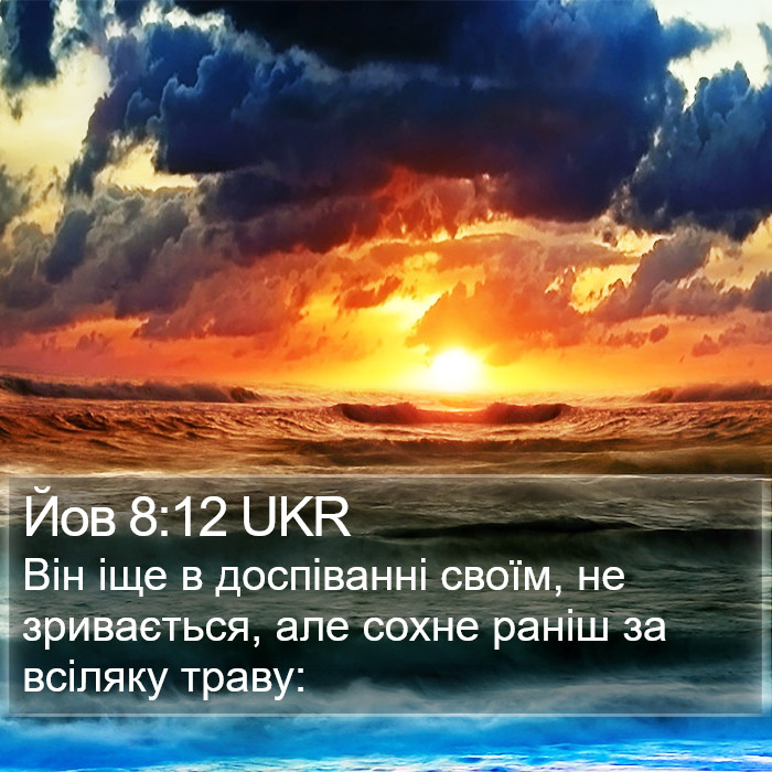 Йов 8:12 UKR Bible Study