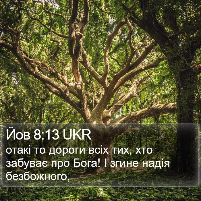 Йов 8:13 UKR Bible Study