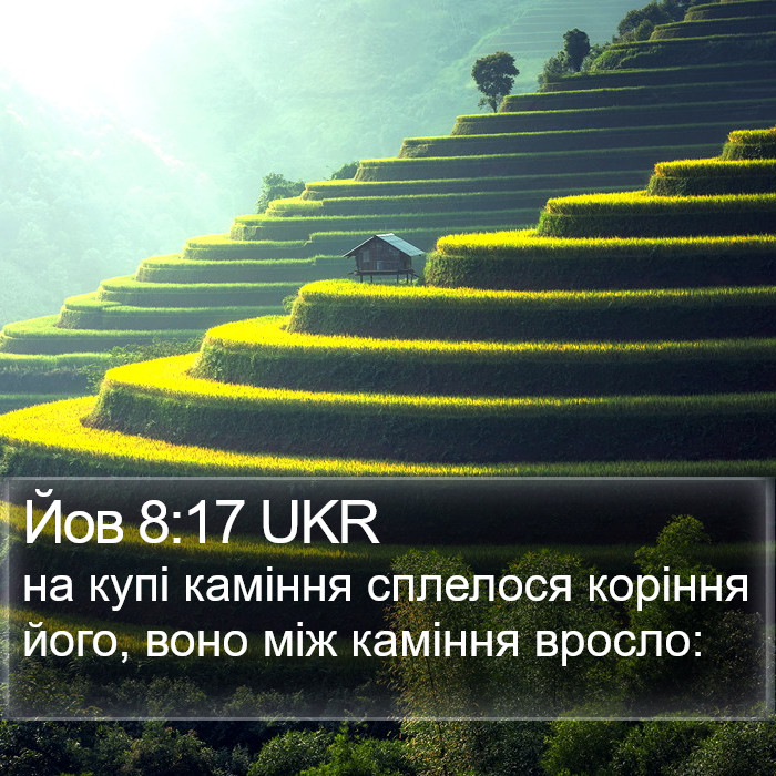 Йов 8:17 UKR Bible Study