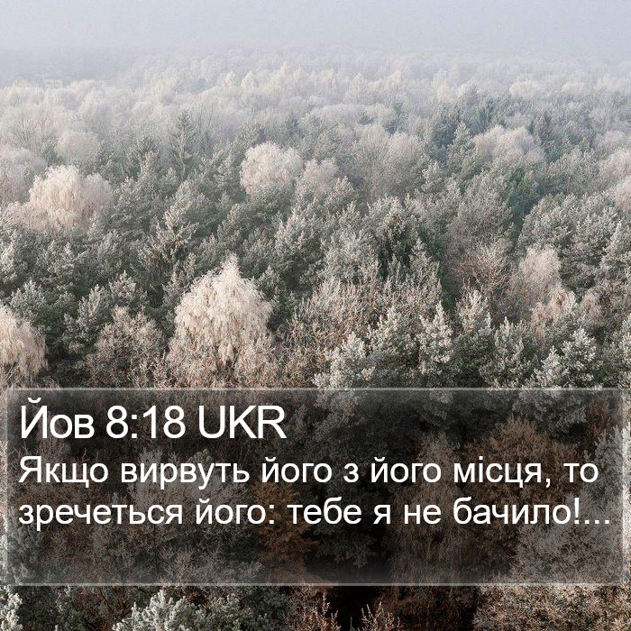 Йов 8:18 UKR Bible Study