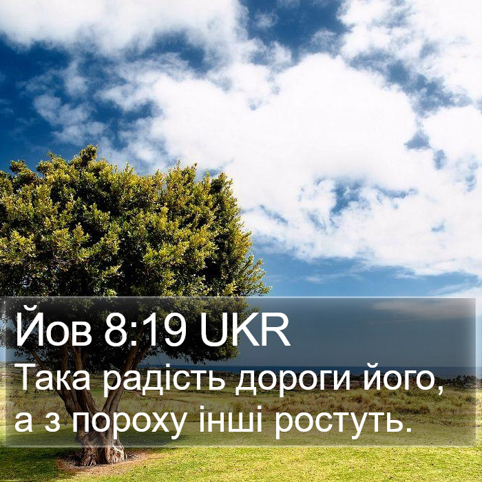 Йов 8:19 UKR Bible Study