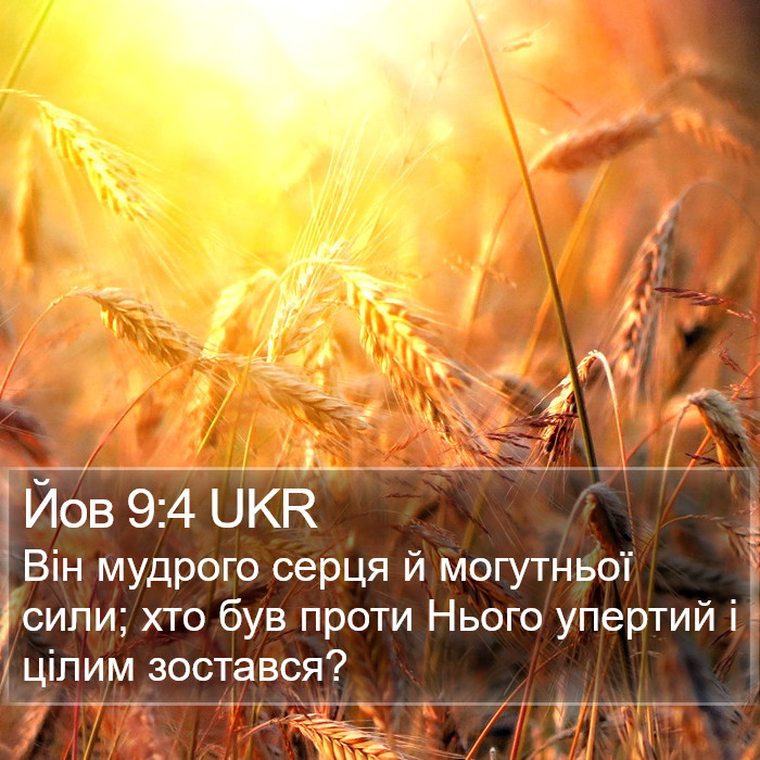 Йов 9:4 UKR Bible Study