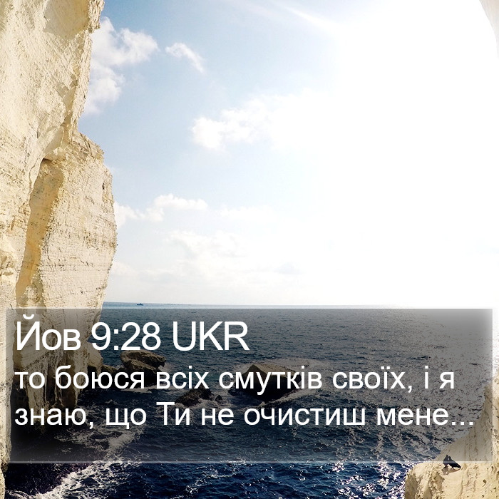 Йов 9:28 UKR Bible Study