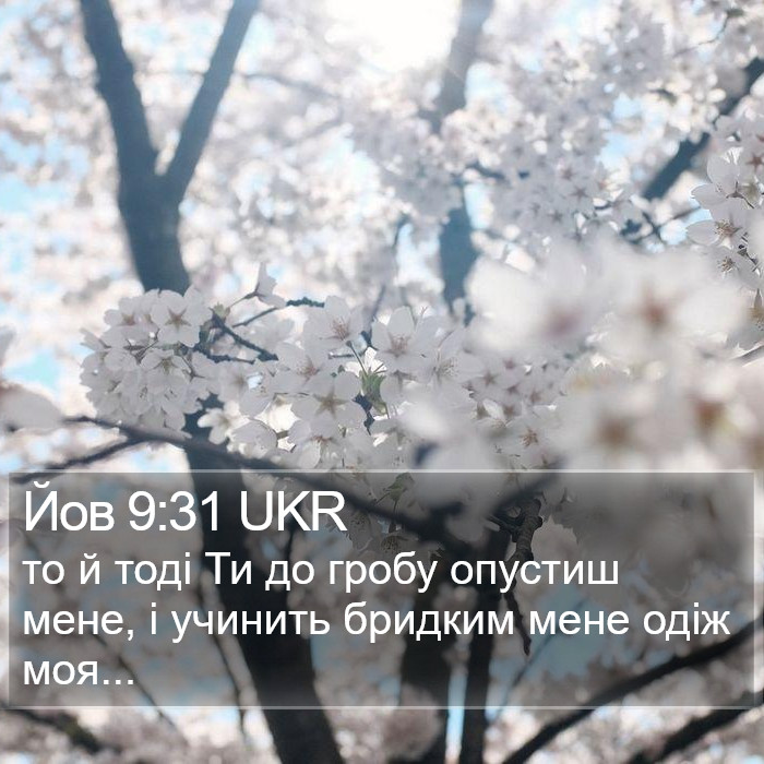 Йов 9:31 UKR Bible Study