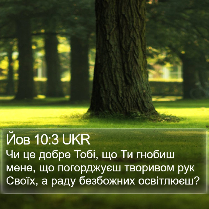 Йов 10:3 UKR Bible Study