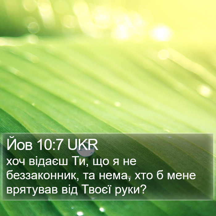 Йов 10:7 UKR Bible Study