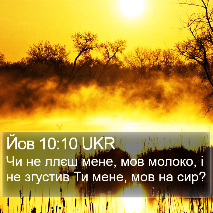 Йов 10:10 UKR Bible Study