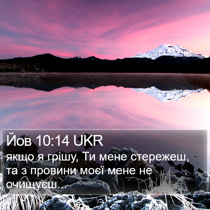 Йов 10:14 UKR Bible Study