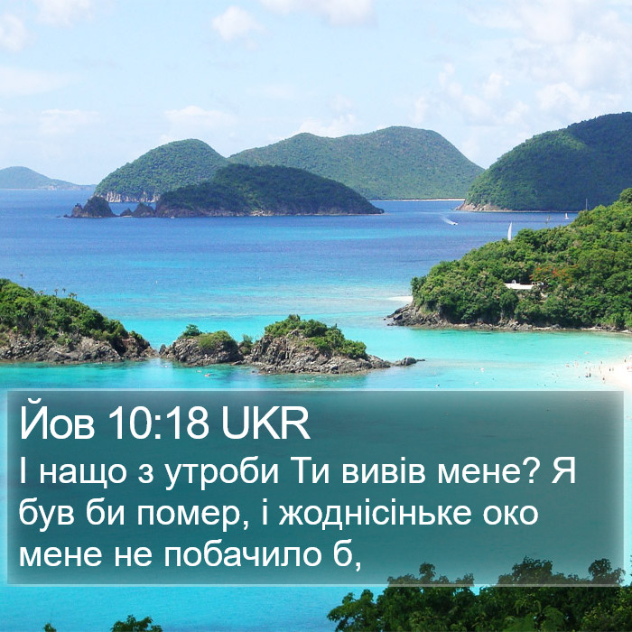 Йов 10:18 UKR Bible Study