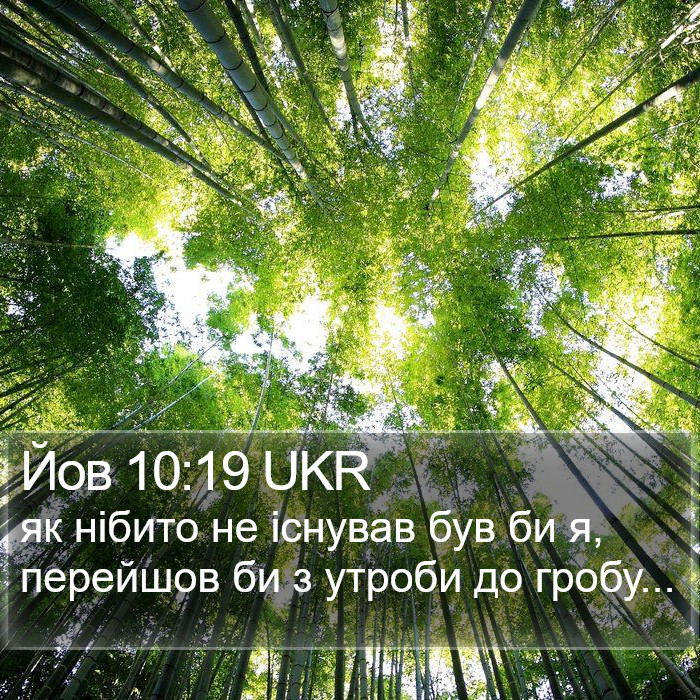Йов 10:19 UKR Bible Study