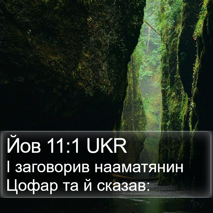 Йов 11:1 UKR Bible Study