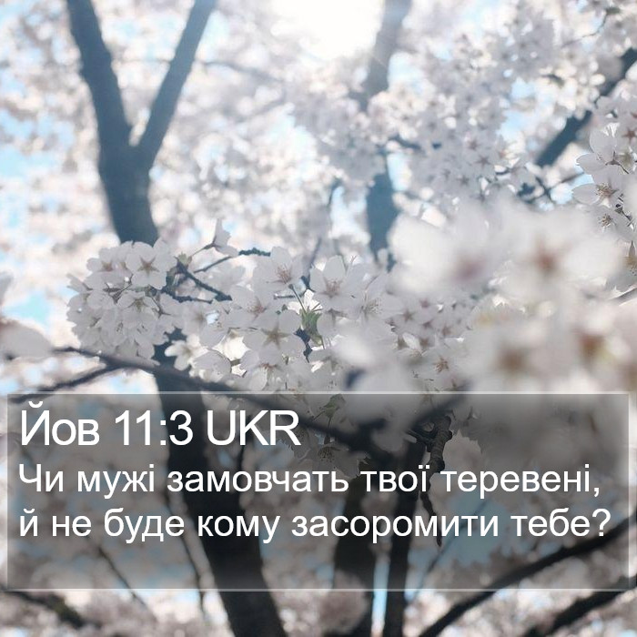 Йов 11:3 UKR Bible Study